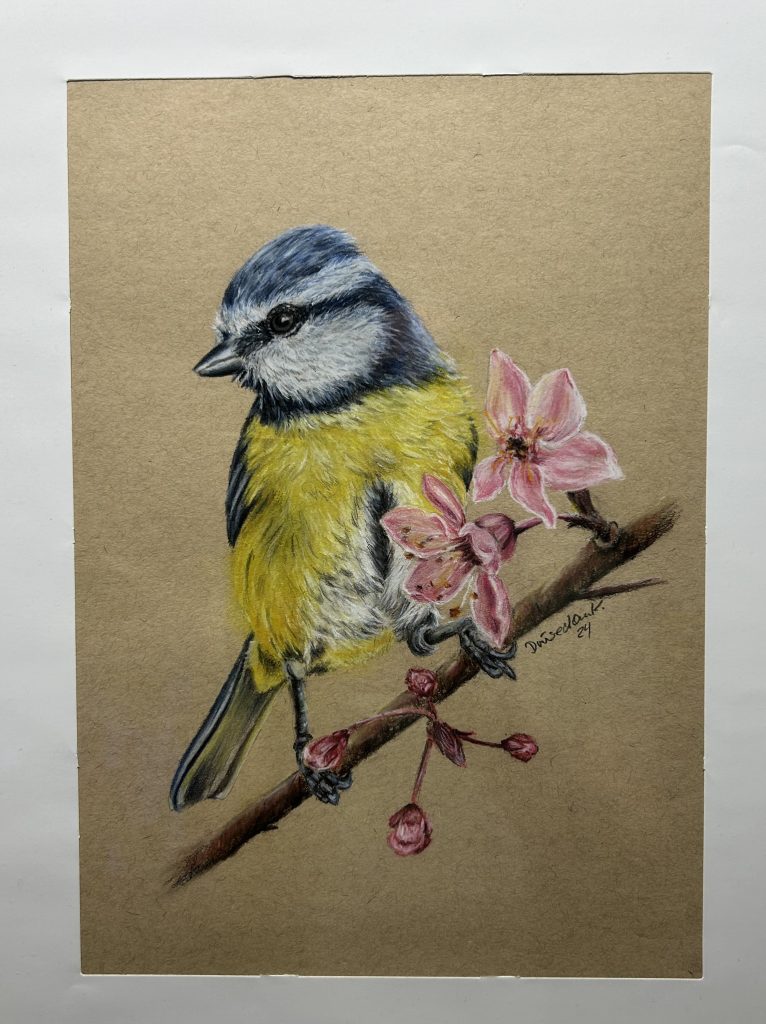 Handgezeichnetes Portrait einer Blaumeise in Pastellfarben