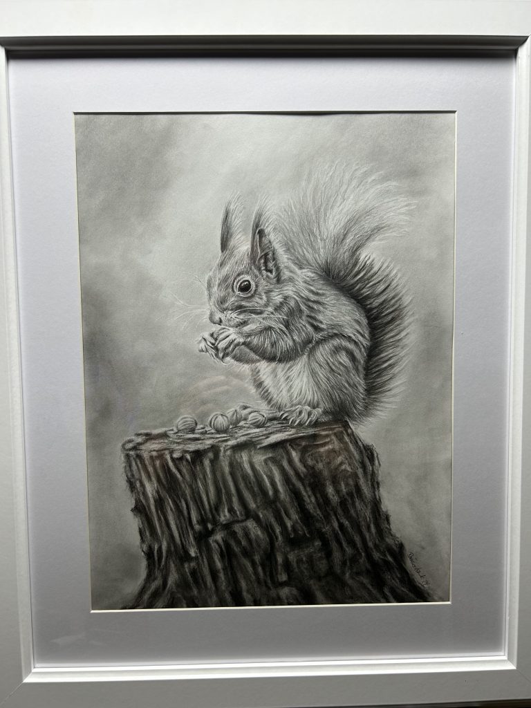 Portrait eines Eichhörnchen in Bleistift und Kohle A3