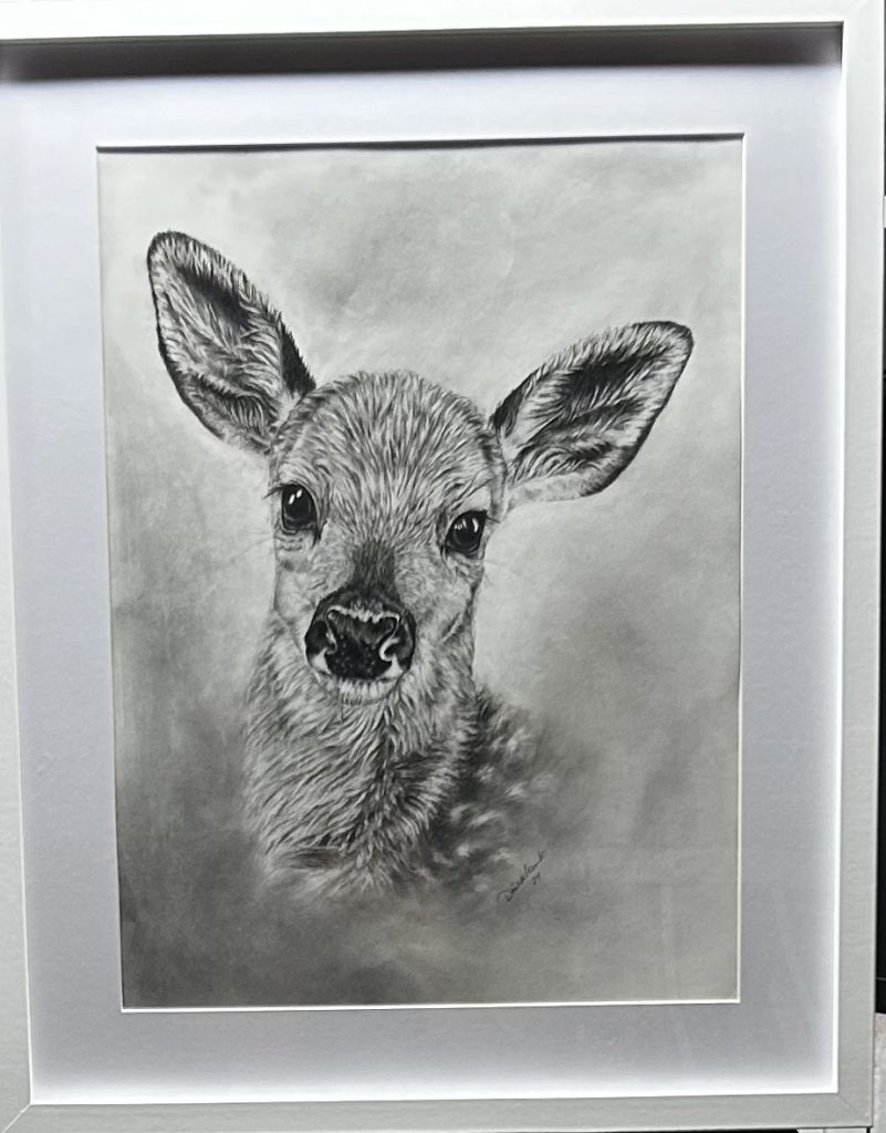 Portrait von einem Reh in Bleistift und Kohle